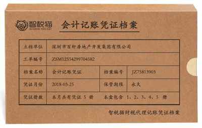 深圳市百軒房地產(chǎn)開發(fā)集團(tuán)代理記賬案例分析 聚焦商品房代購(gòu)代銷業(yè)務(wù)
